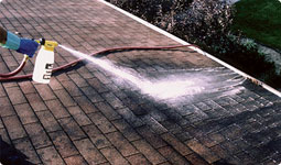 Wetting roof with cleaner