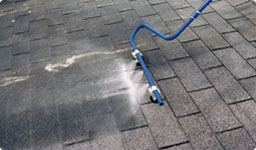 Rinsing roof