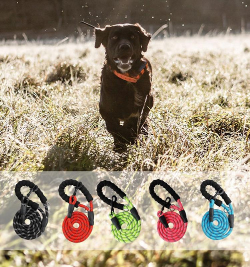 5ft Leash w/Comfortable Padded Handle & Reflective Threads