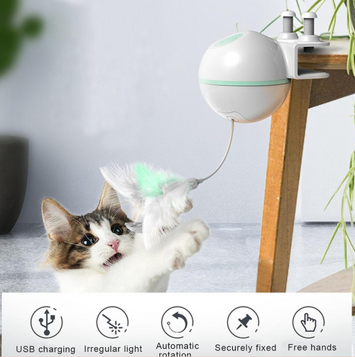 Pet toy ball