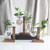 Glass & Wood Vase Planter Terrarium Table Desktop