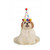 Birthday Boy Pet Hat