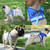 Dog Harness Vest Reflective Adjustable Adjustable