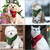 Warm Winter Pet Dog Scarves Small Puppy