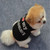 Cute Dog Pet Clothes Spring T-shirt Soft Animal