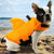 Safety Clothes Dog's Swimwear Pets Safety