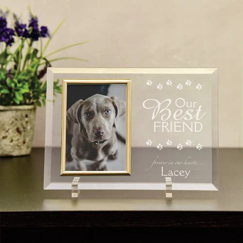 Our Best Friend Personalized Pet Memorial Frame