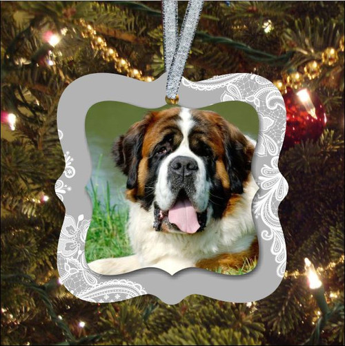 Pet In Our Life Ornament