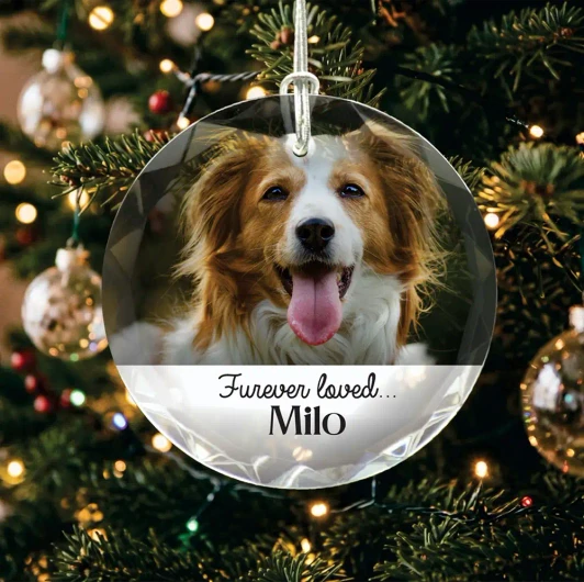 Personalized Pooch Ornament