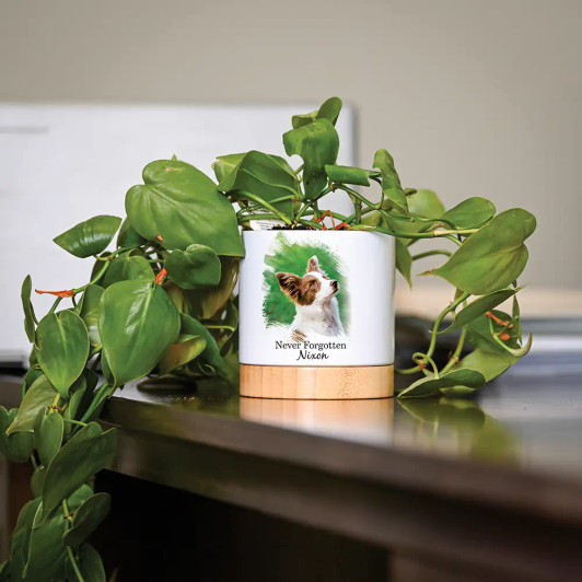 Never Forgotten pet memorial planter with forget-me-not seeds, personalized with your pet's name and photo