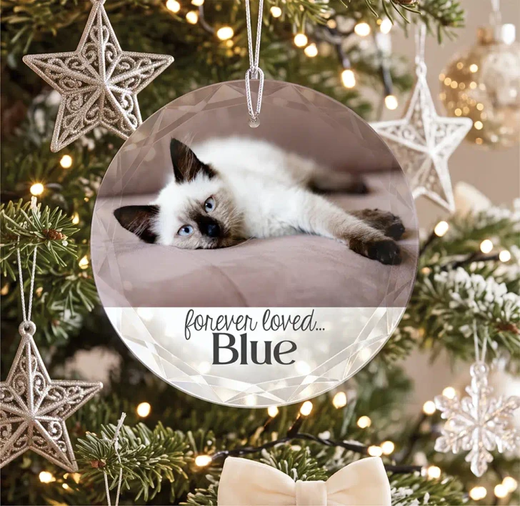 Personalized Cat Memorial glass ornament with your cat's photo and name
