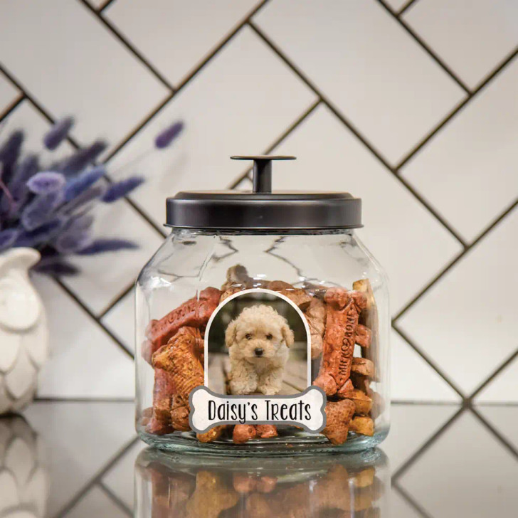 Dog in shop a jar