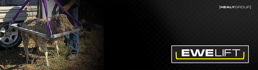ewe-lift-banner.jpg
