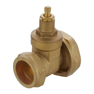 Pump Valves