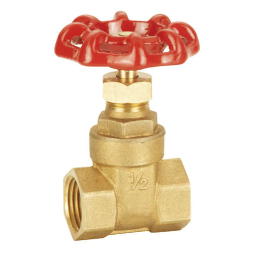 Female x female BS5154 brass gate valve