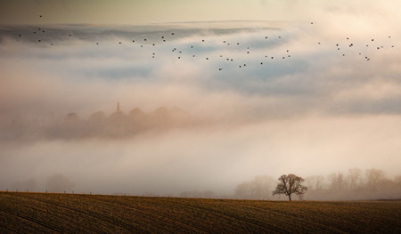 Chasing Light on the South Coast: My Journey with Shimoda - By Edd Allen