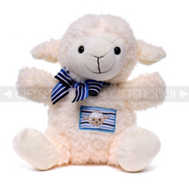 10" Soft White Baby Sheep with Blue Ribbon (Front)
