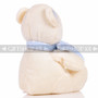 8.5" Pandy Bear With Scarf Soft Plush Toy Stuffed Animal - Baby Blue - Image 3