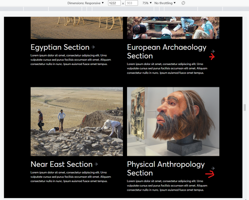 Mariya's BC product Test 2