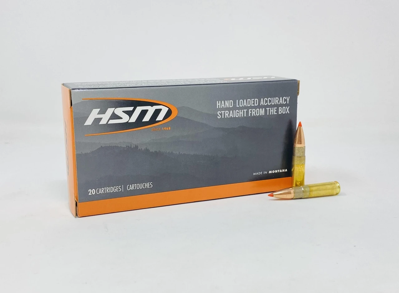 HSM 300 Blackout Ammunition HSM300BLK2N 110 Grain VMAX Ballistic Tip