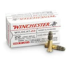 Winchester 22LR Ammunition Wildcat WW22LR 40 Grain Lead Round Nose Case of 5000 Rounds