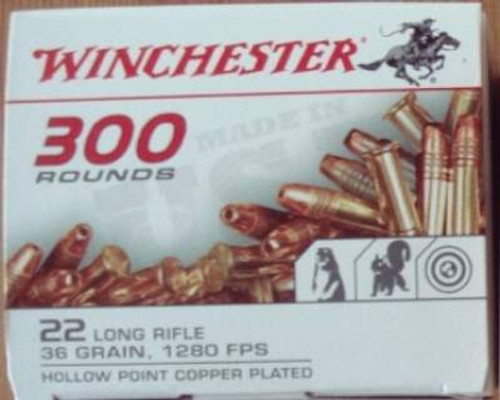 Winchester 22LR 36gr CP HP 300 rounds