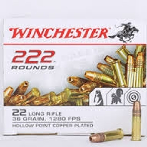 Winchester 22LR Ammunition 36 Grain Copper Plated Hollow Point 222 rounds