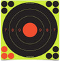 Birchwood Casey BC-34081 Shoot NC 20 CM UIT 6 Targets 72 Pasters