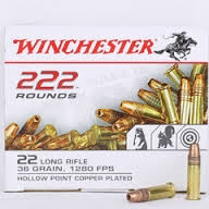 Winchester 22 LR Ammunition USA 22LR555HP 36 Grain Copper Plated Hollow ...