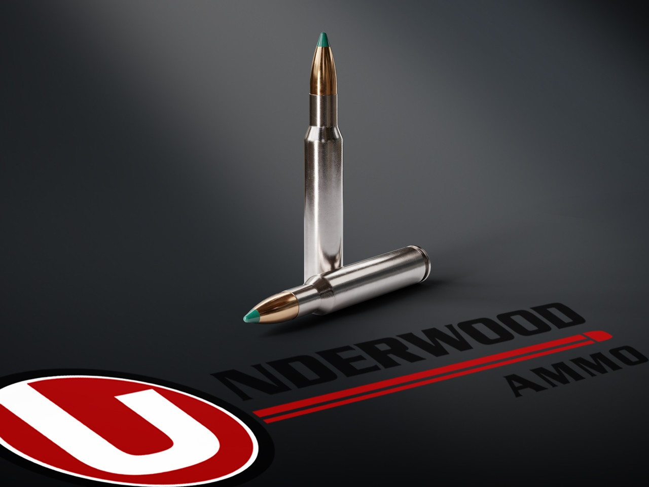 Underwood Ballistic Tip Gameking Ammo