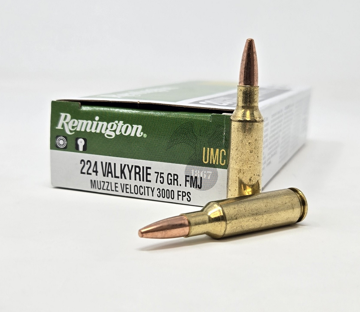 Remington UMC FMJ Ammo