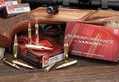 Hornady V-MAX Ballistic Tip Ammo