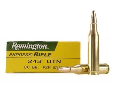Remington PSP Pointed SP Ammo