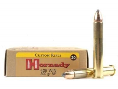 Hornady Custom SP Ammo