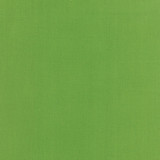 Holly's Tree Farm 02 1/2 Metre Length