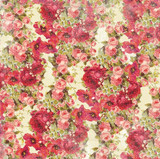 Devotion - Floral Cream 1/2 Metre Length