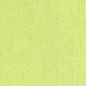 Dreamweaver Chambray in Lime | per 10cm