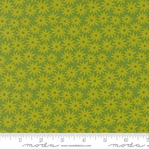 Sedum in Limeade | Scenery by Elizabeth Hartman | per 10cm