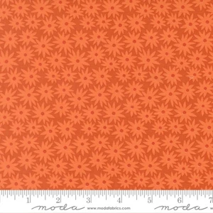 Sedum in Yam | Scenery by Elizabeth Hartman | per 10cm