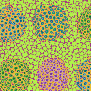 Hydrangea in Green | Kaffe Fassett Collection | per 10cm