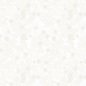 Poppy in Cream | Garden Delights by Gray Sky Studio | per 10cm Poppy in Cream | Garden Delights by Gray Sky Studio | per 10cm