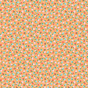 Fruit Twist in Orange | Gifts from the Garden | per 10cm