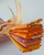 Orange Zest Fat Eighth Bundle | 6pcs