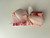 Blush & Bloom Fat Eighth Bundle | 6pcs
