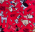 Doodle Dogs in Red | Robyn Roderick by Northcott | per 10 cm