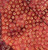 Little Circles on Red Brown | Batik | per 10cm