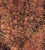 Curls on Brown | Batik | per 10cm