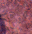Small leaves in Spiral on Purple | Batik | per 10cm