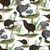 Native Treasures | Kiwi on White | per 10cm