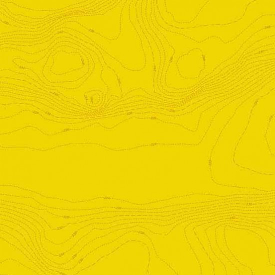 LUCKY LAST PIECE Sun Prints - 109 | Alison Glass | 35cm x WOF